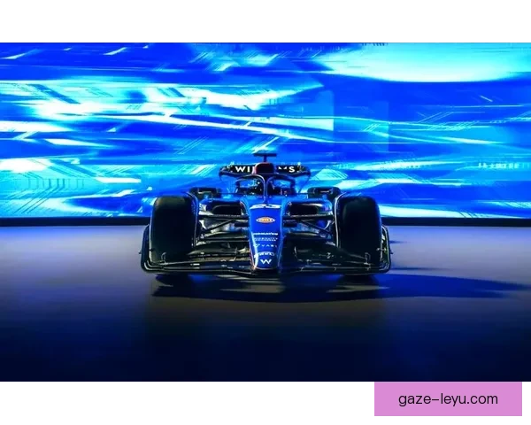 F1赛季最新动态揭秘车队策略与车手争冠风云