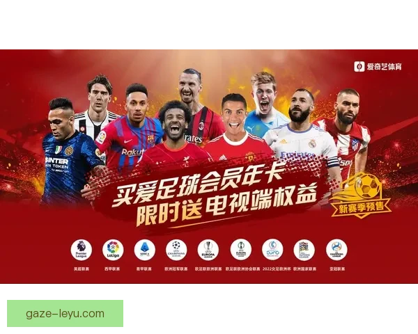 意甲赛事数据深度分析与精准预测软件介绍